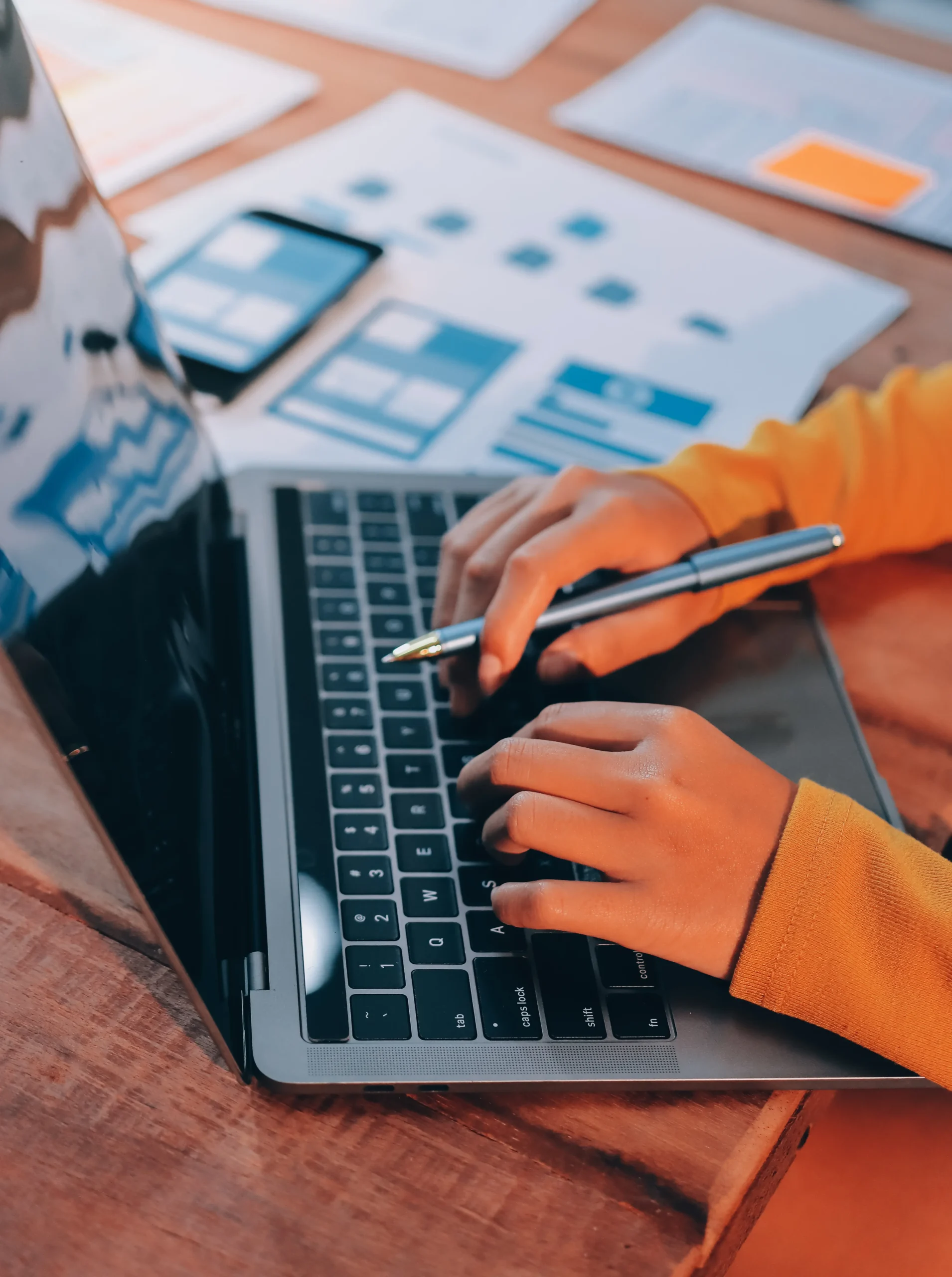 Zhvillim web